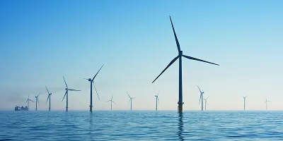 history-phase-02.-시장진입-(market-entry)